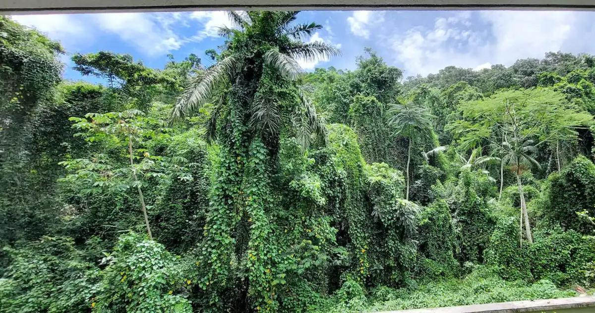 Apto Moderno E Confortavel - Praia Grande Ubatuba Exteriér fotografie